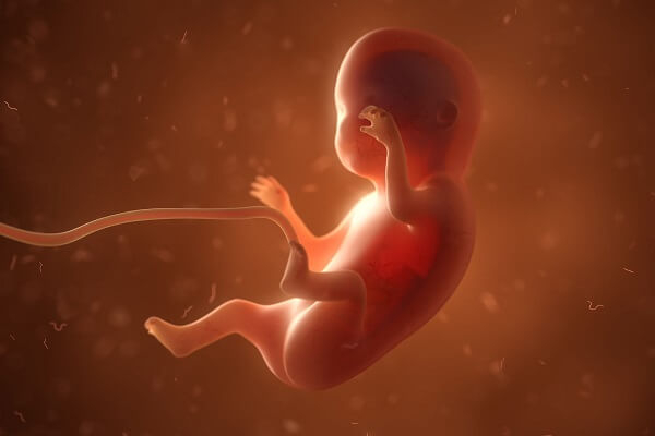 妊婦さん必見｜RSウイルスから赤ちゃんを守る「アブリスボ」とは？